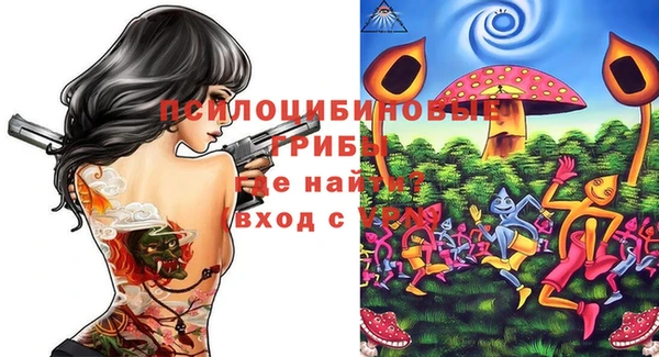 а пвп мука Надым