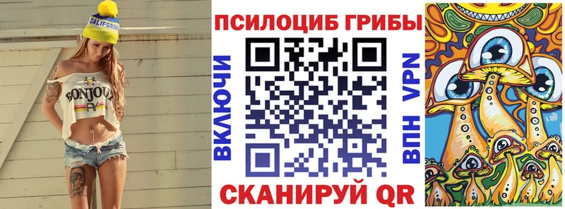 купить  сайты  Пустошка  Псилоцибиновые грибы прущие грибы 